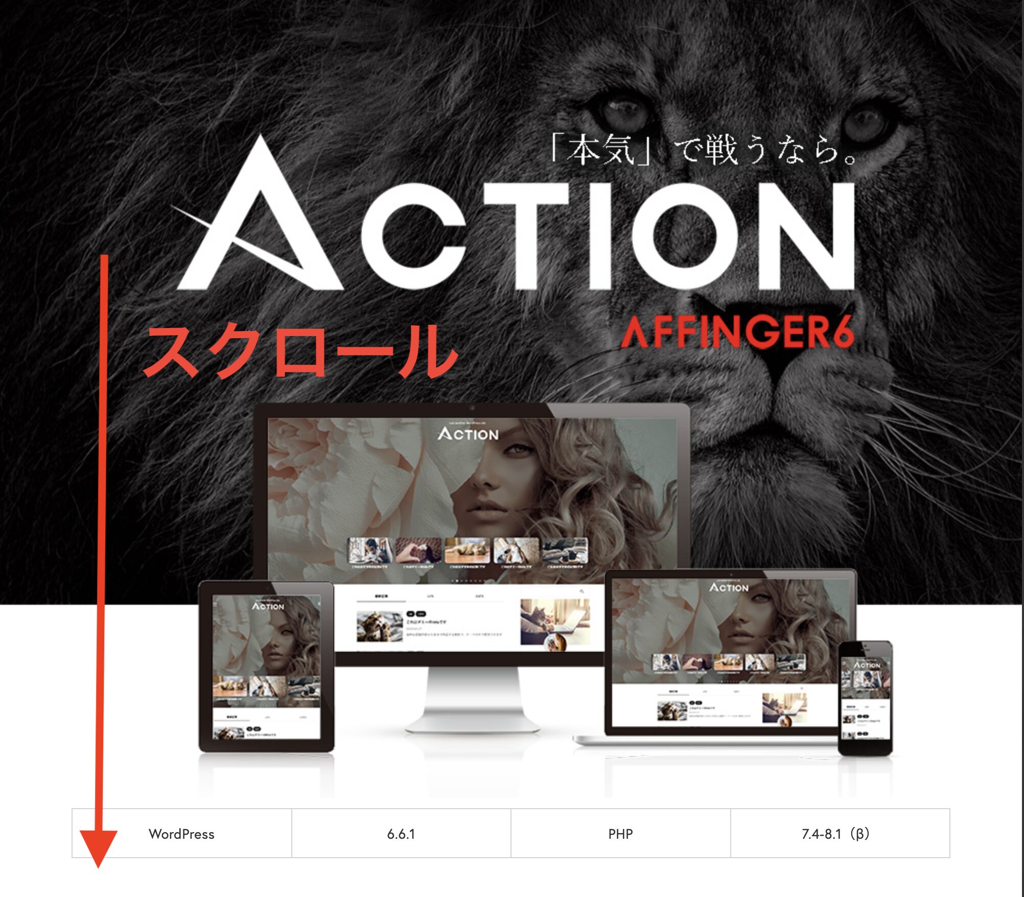 AFFINGER6公式サイト